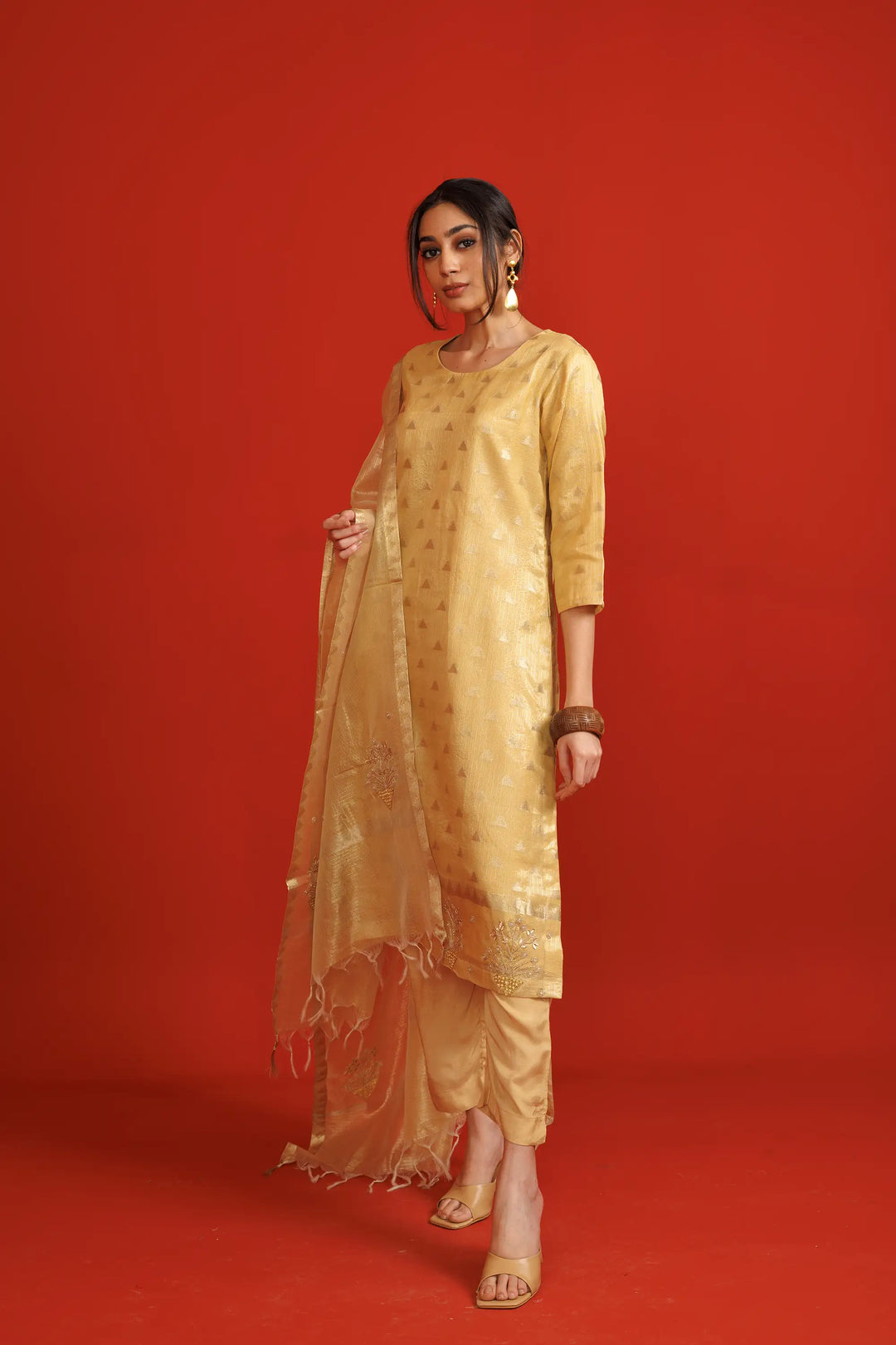 Salwar Kameez beige | A Blend of banarasi-silk and jacquard weaving designer for