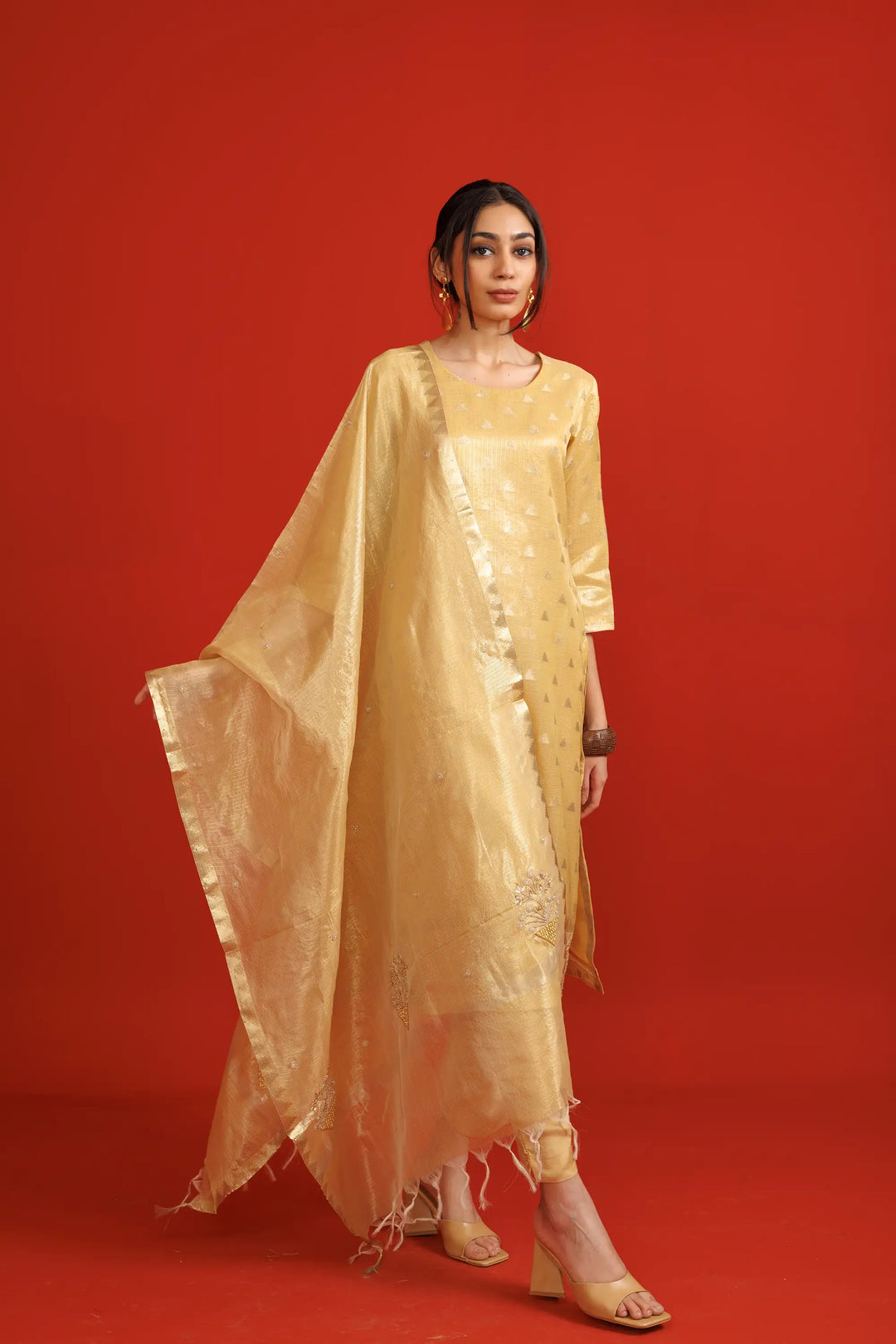 Salwar Kameez beige | A Blend of banarasi-silk and jacquard weaving designer for