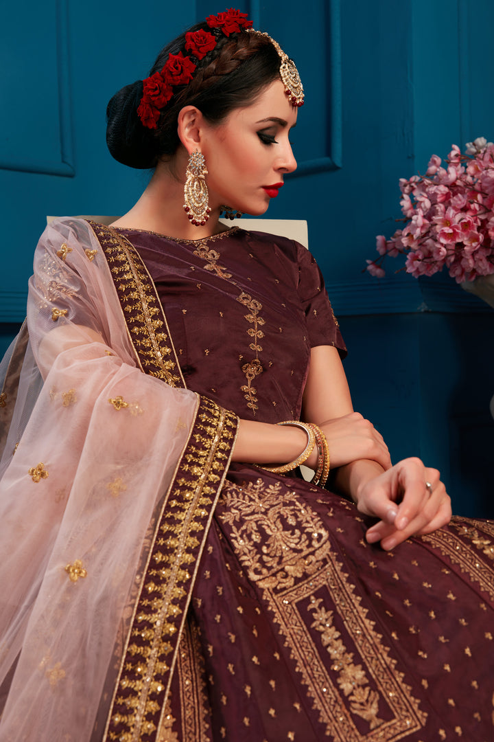 Elegant BrownLehenga Choli with Pink Net Dupatta | Short Sleeve Blouse