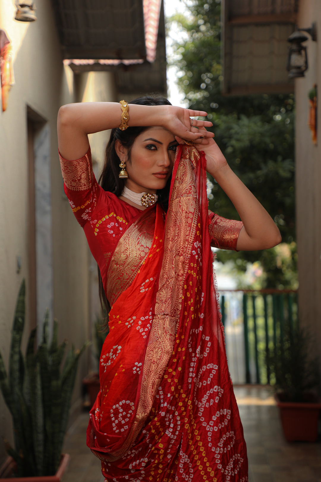 Timeless olive Bandhej Tapeta saree, offering traditional elegance and intricate weaving.