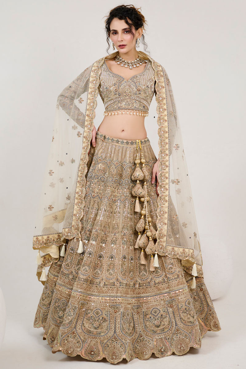 Beige Net Lehenga Set | Hand Embroidered Blouse with Zari & Sequins Detailing