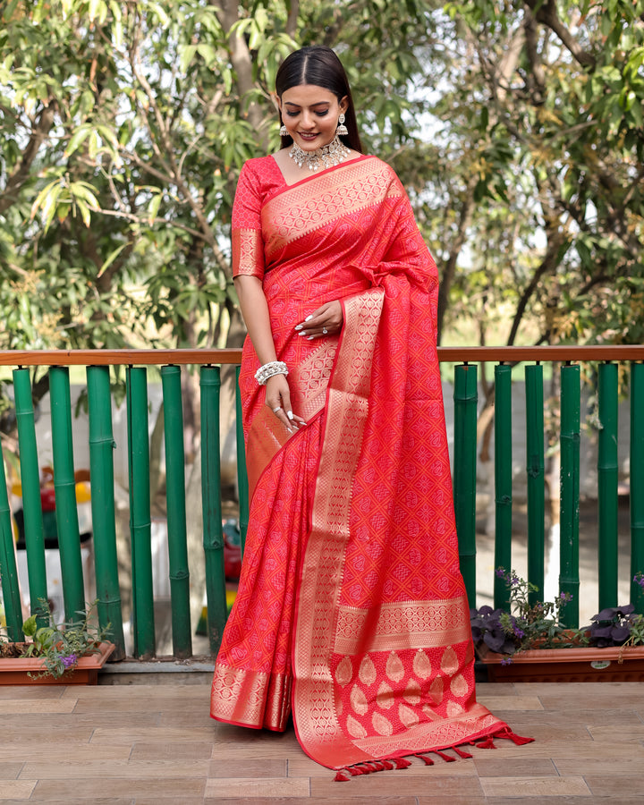 Designer saree in bold red with a dazzling contrast zari border, a beautiful addition to any festive wardrobe.