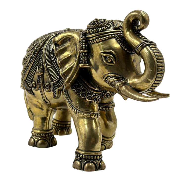 Elegant brass elephant figurine with an up trunk, representing fortune and positivity.