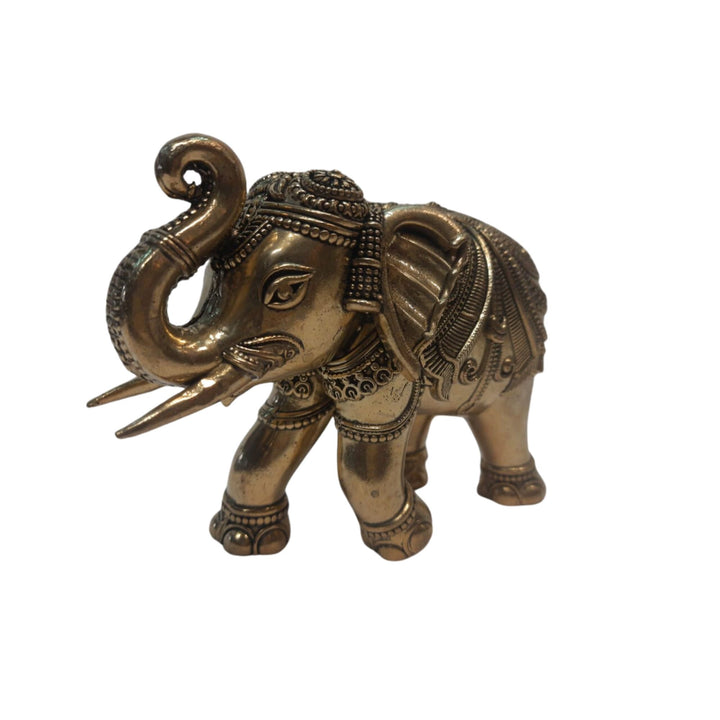 Unique brass elephant decor piece, a lucky charm for your living room or office.