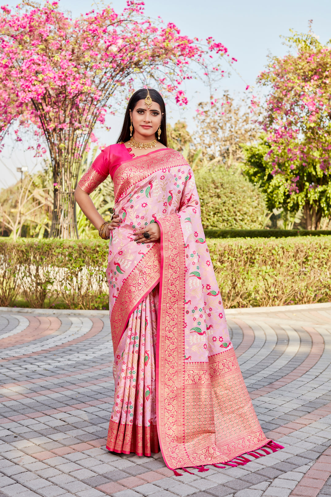 Radiant Baby Pink Soft Silk Saree with a designer Kanjivaram border for elegant events.