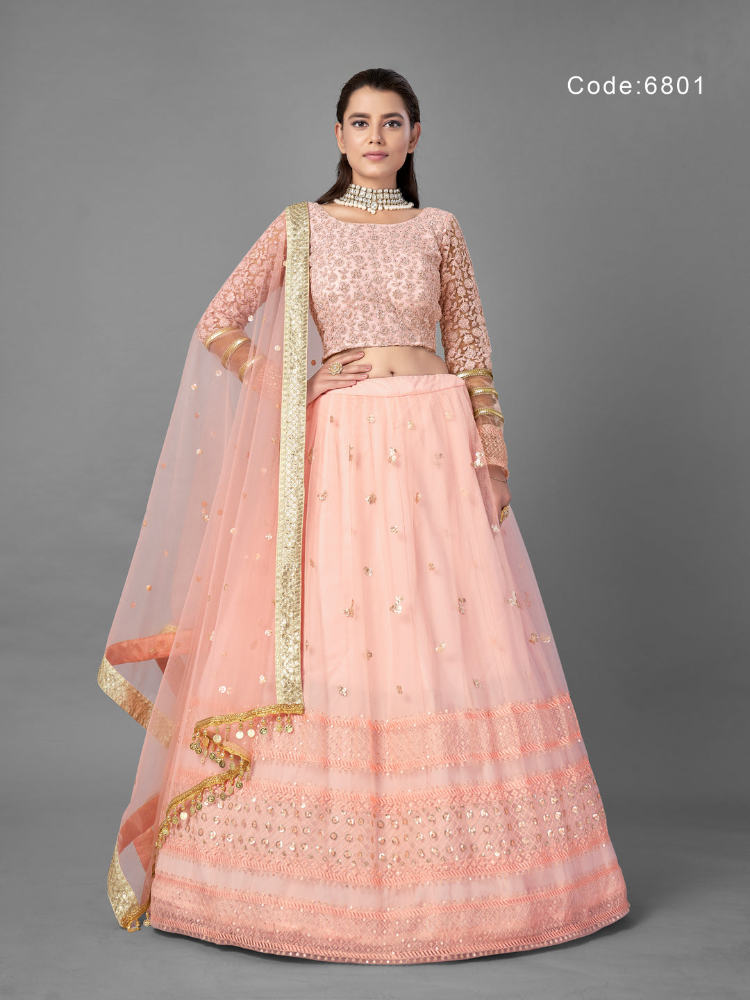 Light Pink Net Lehenga | Panelled Style with Dori and Sequins Work