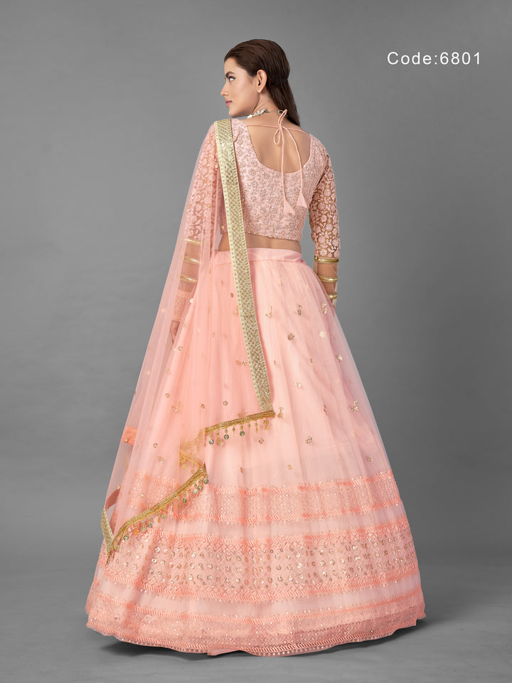 Light Pink Net Lehenga | Panelled Style with Dori and Sequins Work