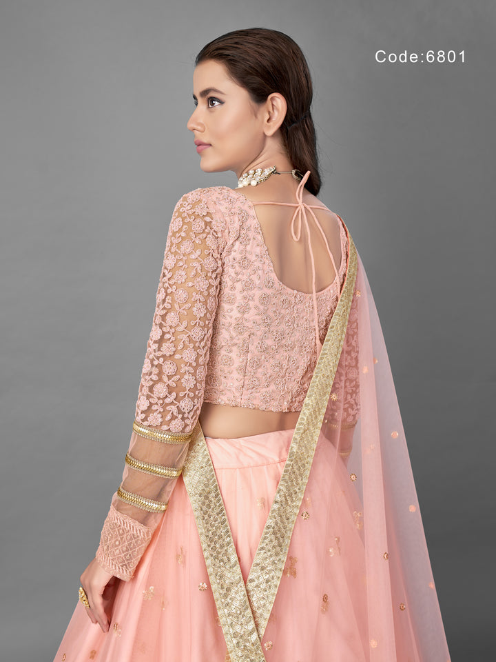 Light Pink Net Lehenga | Panelled Style with Dori and Sequins Work