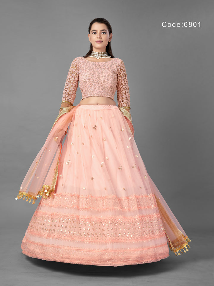 Light Pink Net Lehenga | Panelled Style with Dori and Sequins Work