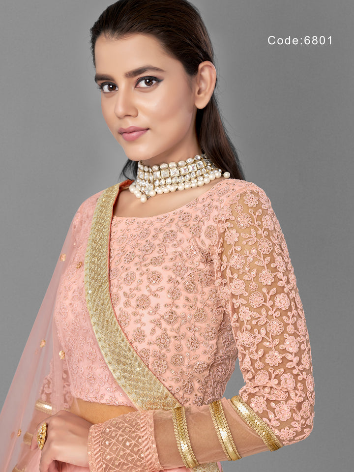 Light Pink Net Lehenga | Panelled Style with Dori and Sequins Work