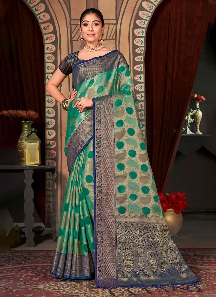 Radiant Organza Saree with | Perfect for Special Celebrations