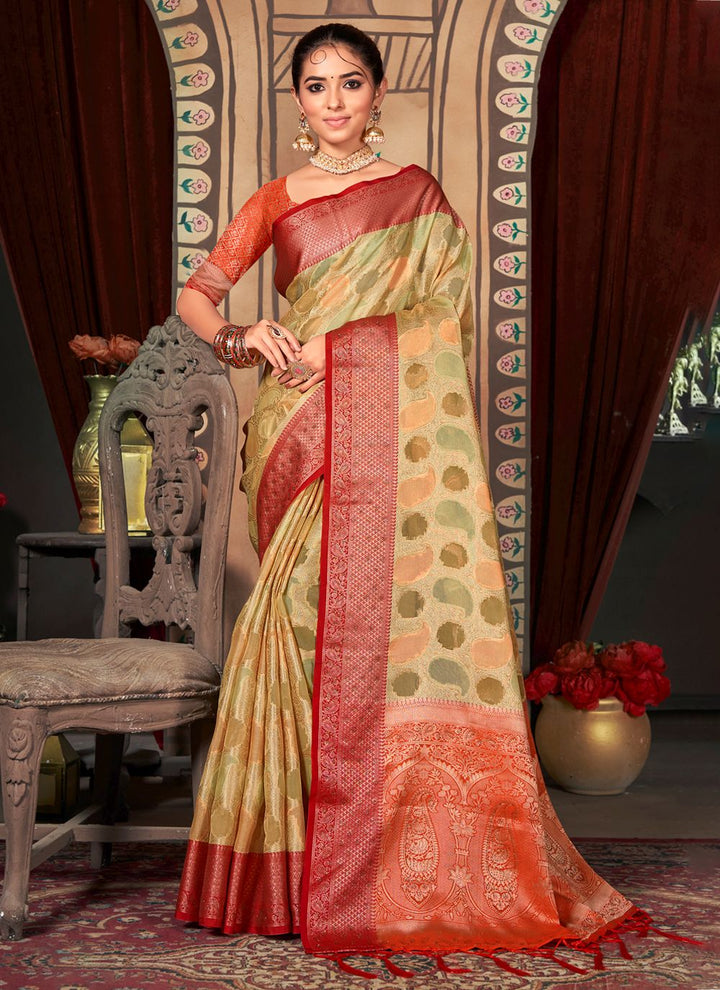 Radiant Organza Saree with | Perfect for Special Celebrations