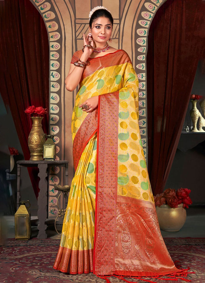 Radiant Organza Saree with | Perfect for Special Celebrations