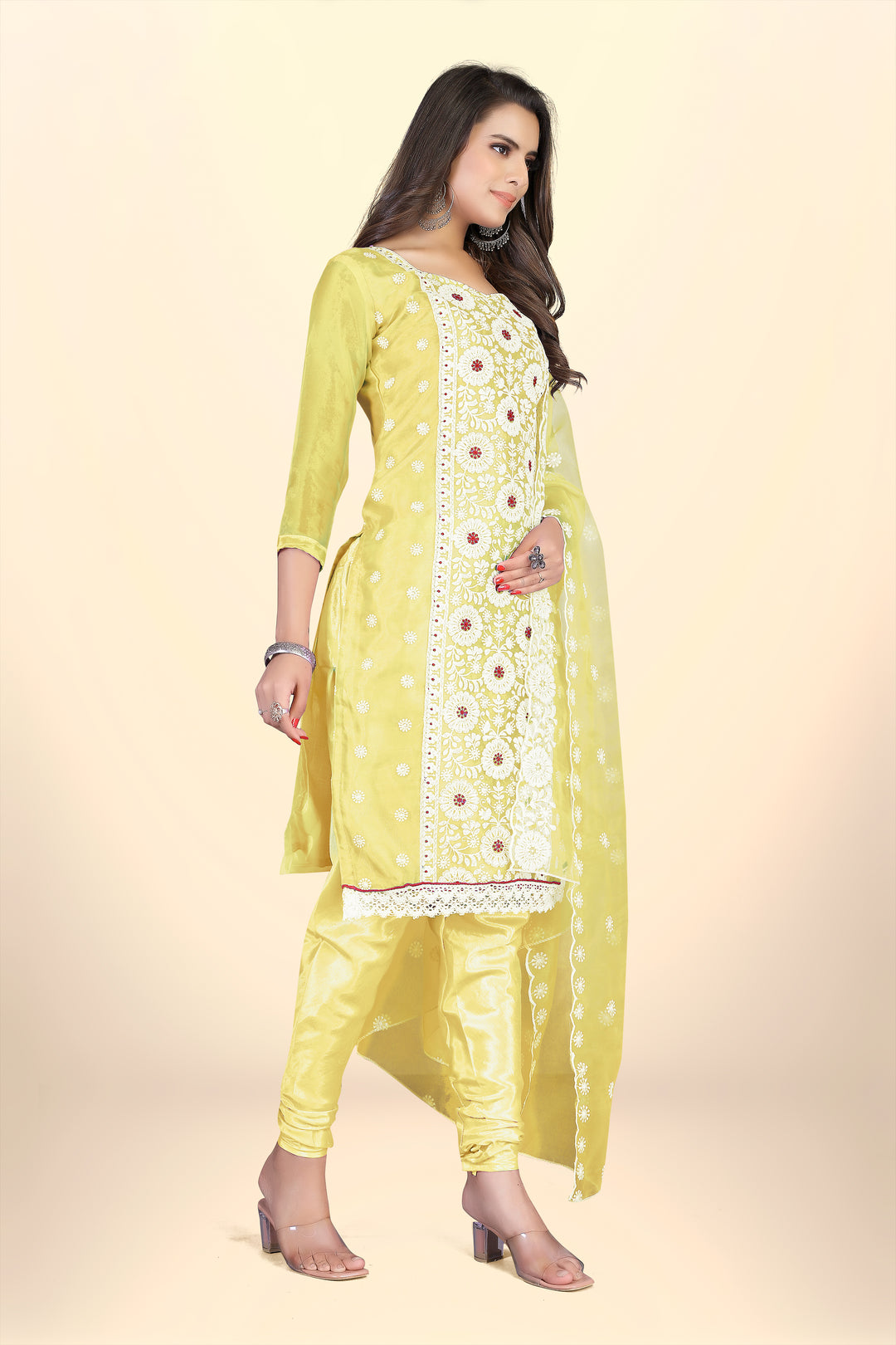 Elegant Organza Suit with Santoon Bottom | Designer Thread Embroidery Work