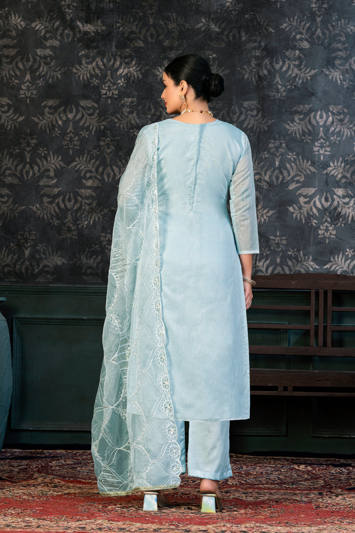 Refined organza Salwar kameez | Festive Elegance