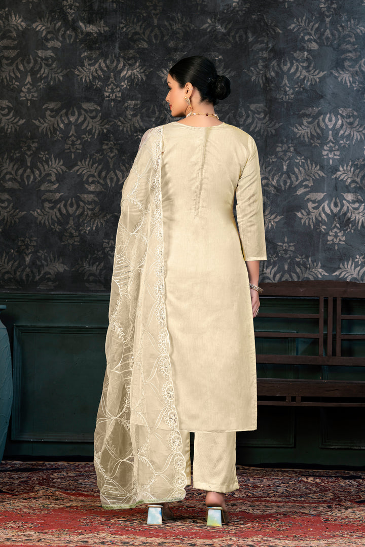 Refined organza Salwar kameez | Festive Elegance