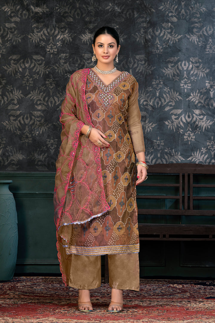 Elegant Organza Kurtis Set | Hand-Embroidered Santoon for Special Events