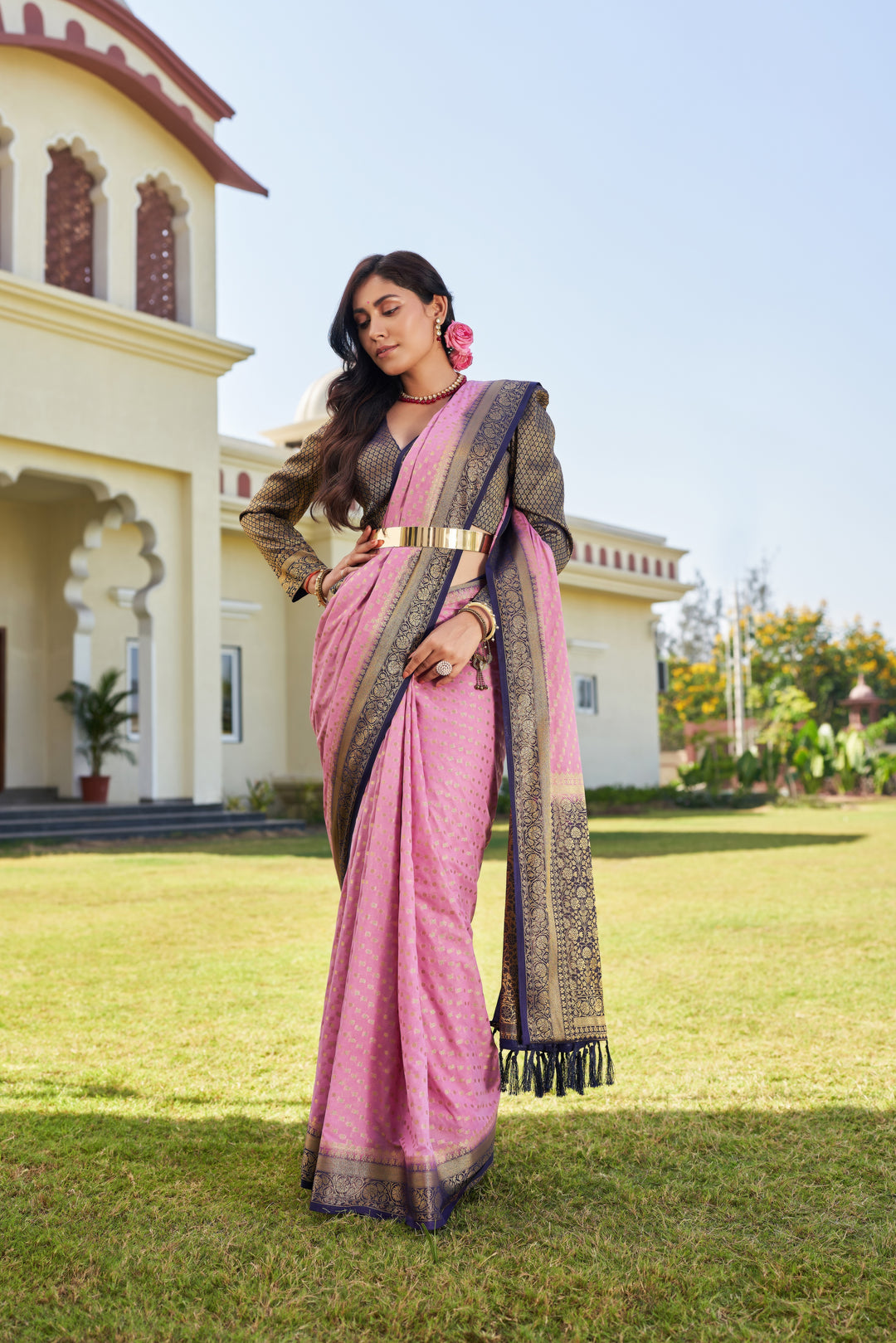 Elegant Georgette Saree | Woven Designer Look for Special Events & Parties