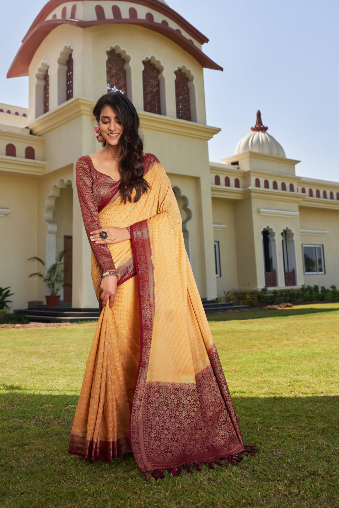 Elegant Georgette Saree | Woven Designer Look for Special Events & Parties