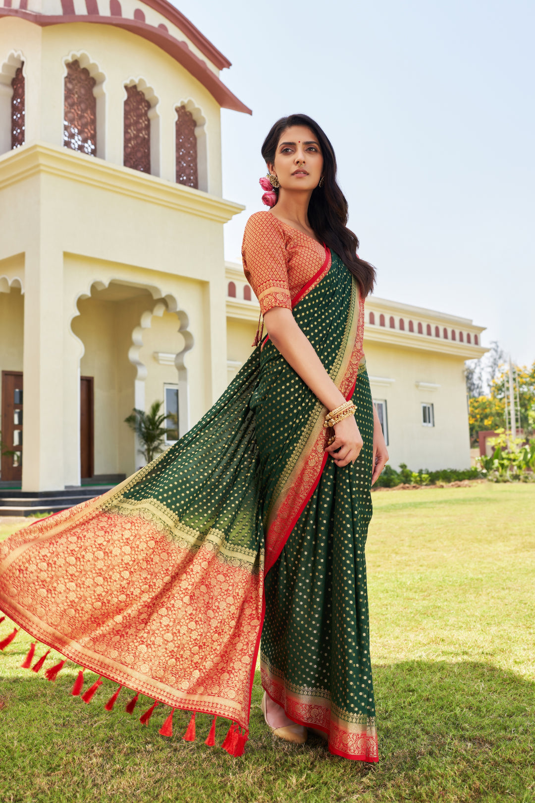 Elegant Georgette Saree | Woven Designer Look for Special Events & Parties