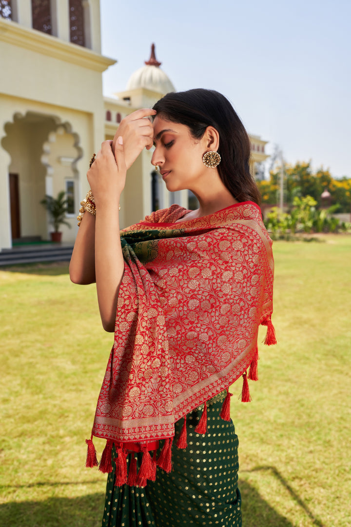 Elegant Georgette Saree | Woven Designer Look for Special Events & Parties