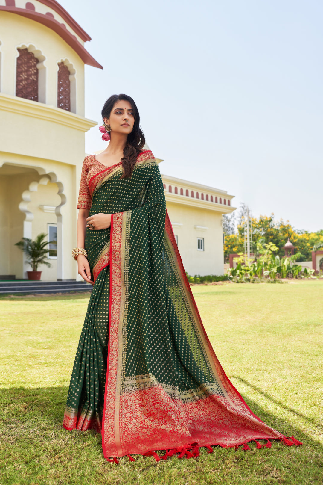 Elegant Georgette Saree | Woven Designer Look for Special Events & Parties