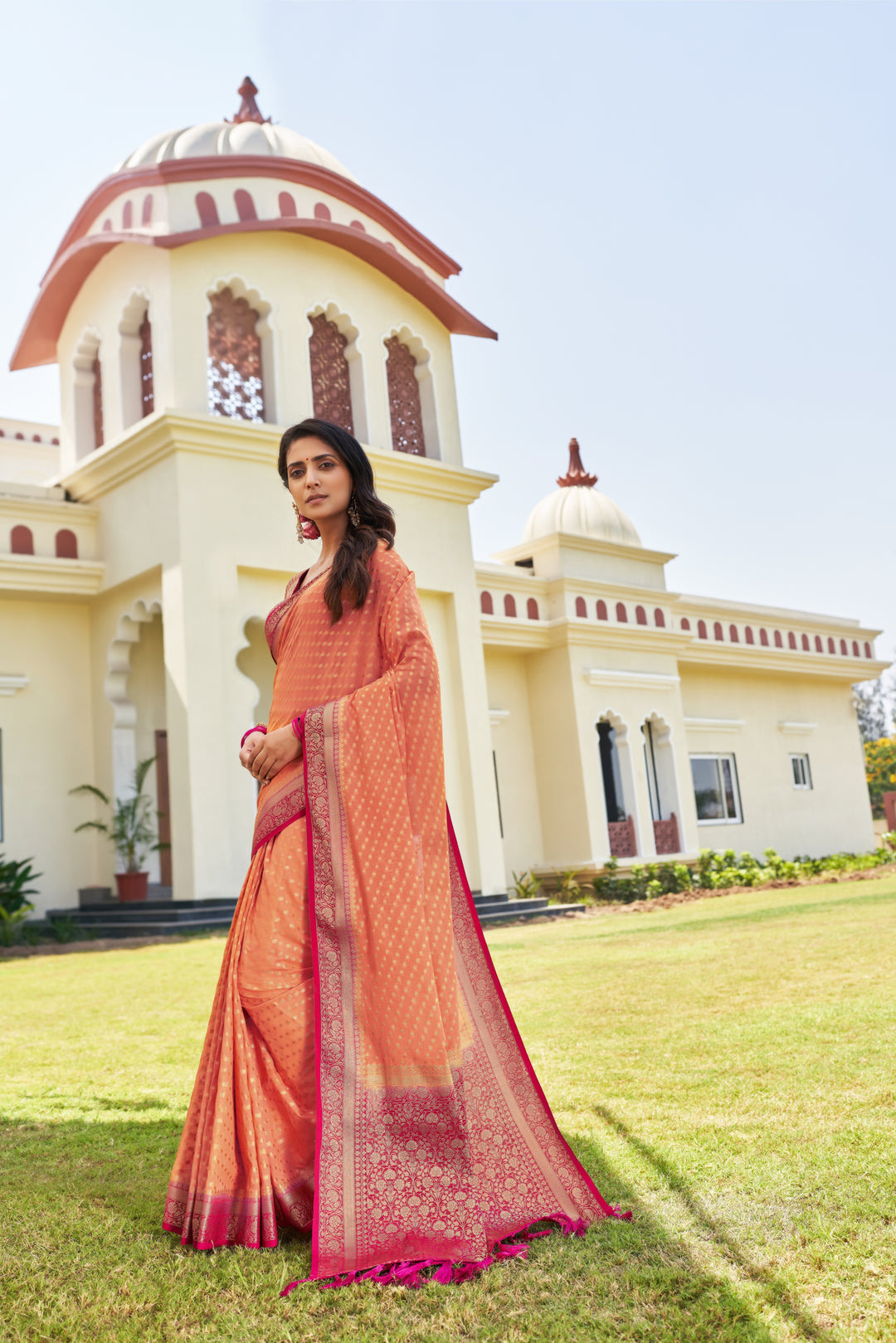 Elegant Georgette Saree | Woven Designer Look for Special Events & Parties