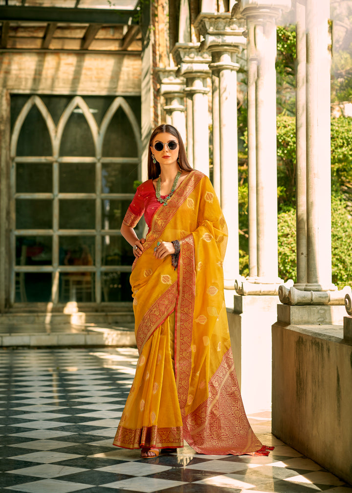 Exquisite Tissue Silk Saree with | An Exclusive Designer Masterpiece