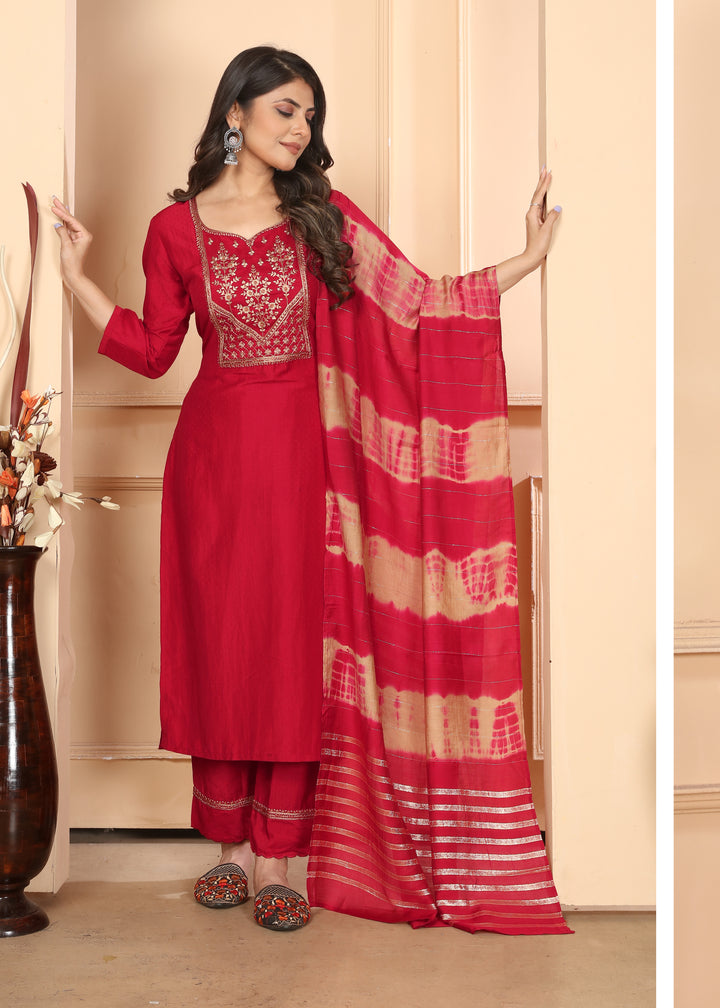 Red Vertical Silk Salwar Kameez with Intricate Embroidery | Perfect Festive Wear