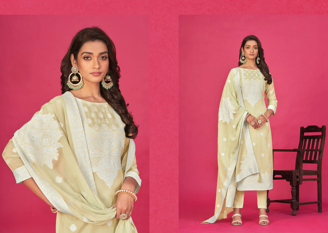 Stunning Organza Salwar Kameez with Intricate Embroidery | Perfect Festive Wear