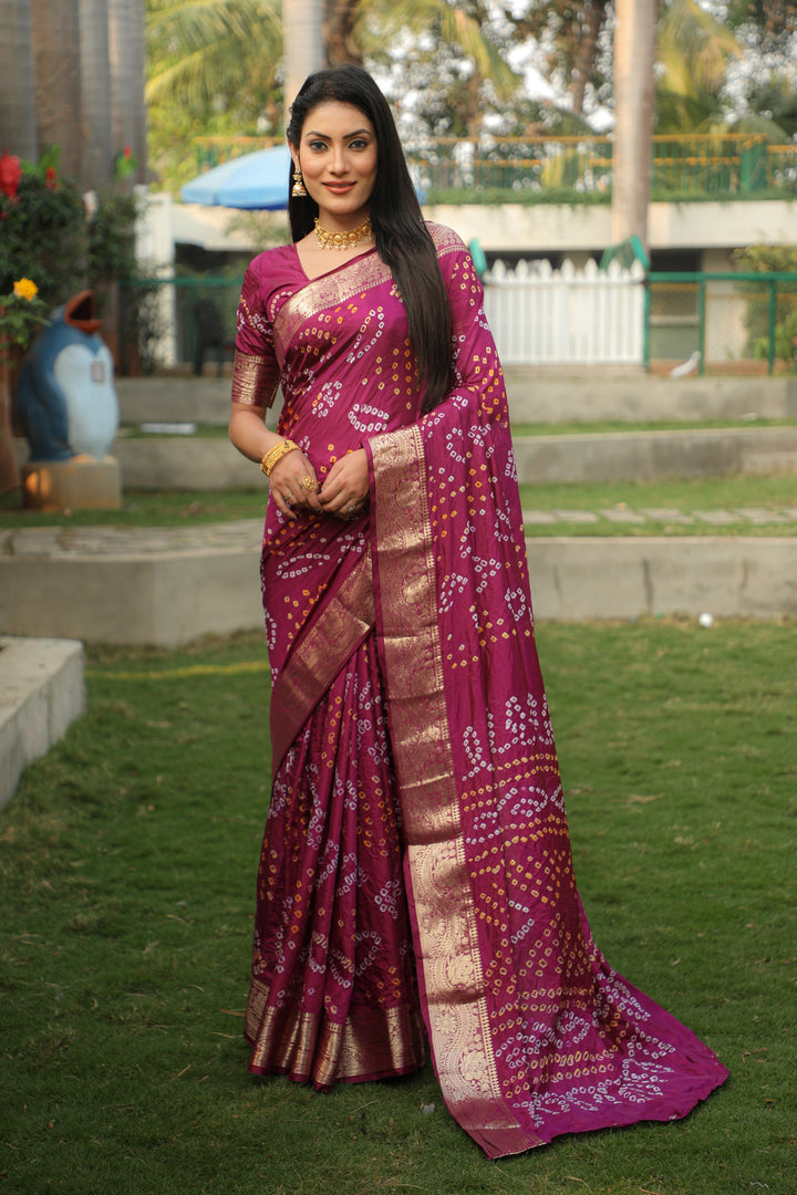 Gorgeous Handloom Silk Saree with | A Stylish and Sophisticated Choice