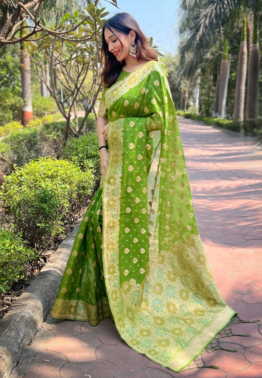 Organza Saree | An Ideal Pick for Weddings and Parties