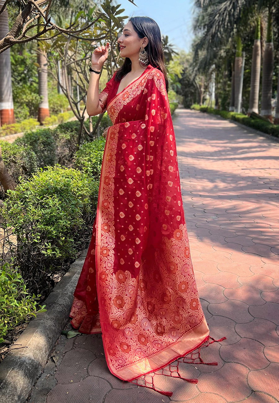 Organza Saree | An Ideal Pick for Weddings and Parties