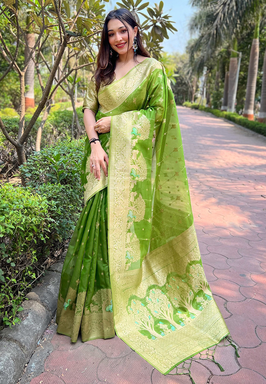 Organza Saree with Woven Rainbow Jari Design | Perfect for Weddings & Events