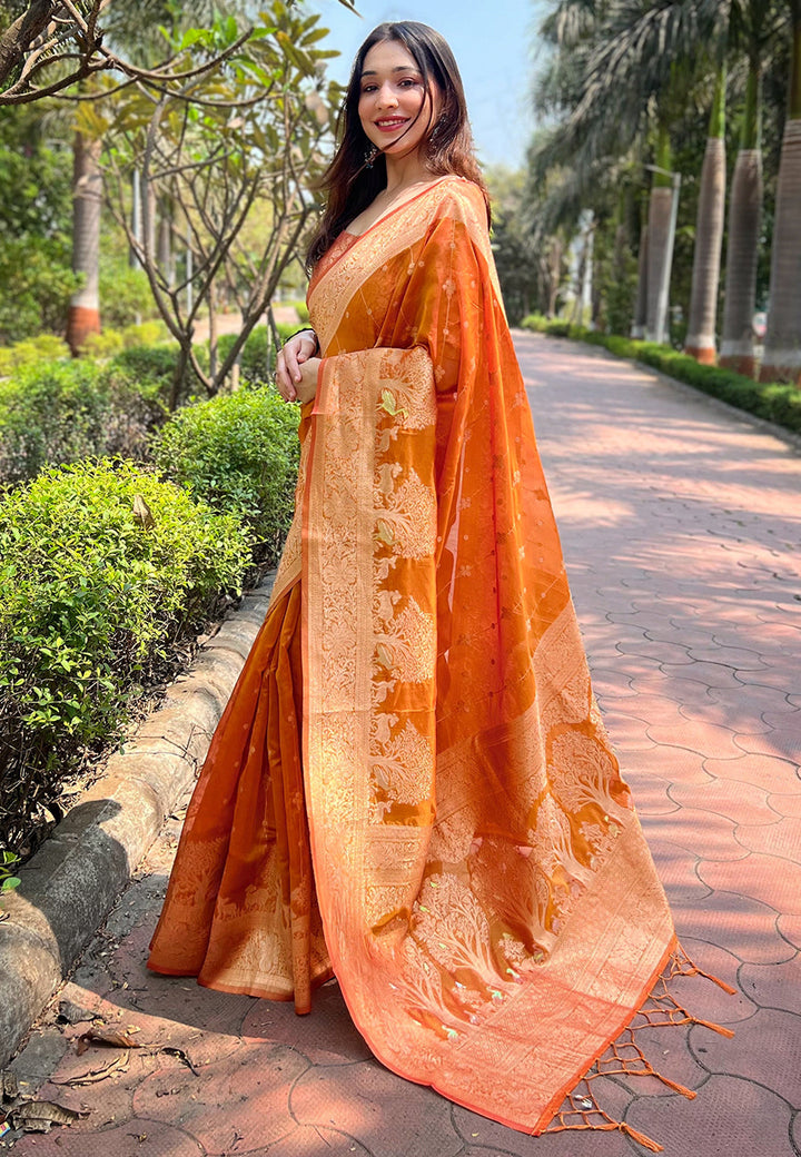 Organza Saree with Woven Rainbow Jari Design | Perfect for Weddings & Events