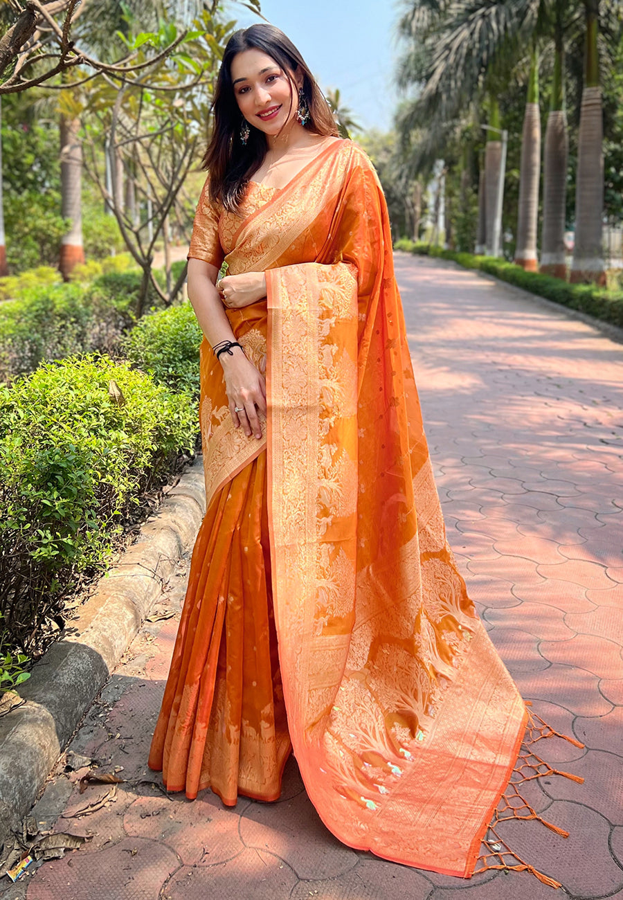 Organza Saree with Woven Rainbow Jari Design | Perfect for Weddings & Events