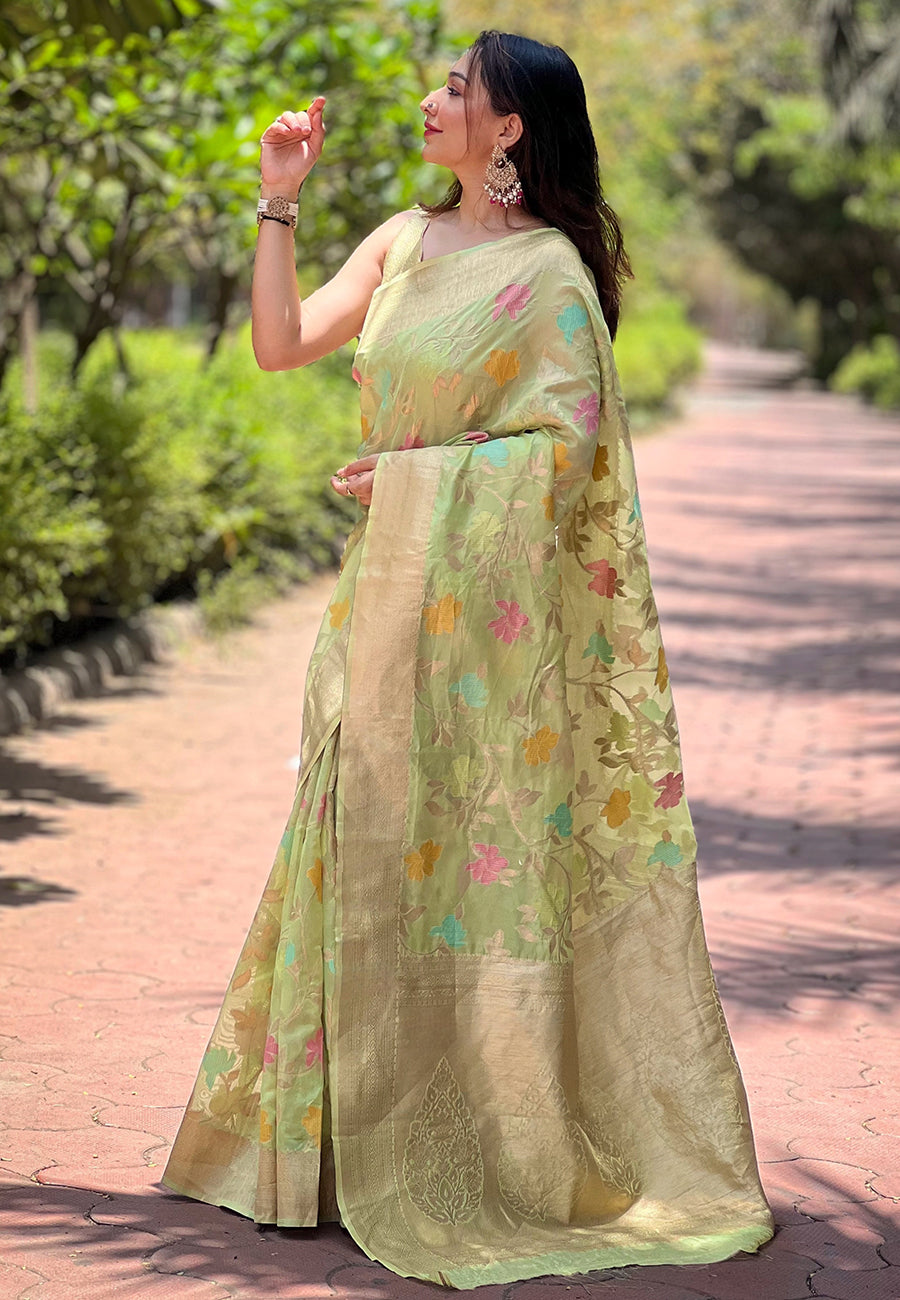 Elegant Organza Saree with Banarasi Silk | Meenakari Jaal Design for Events