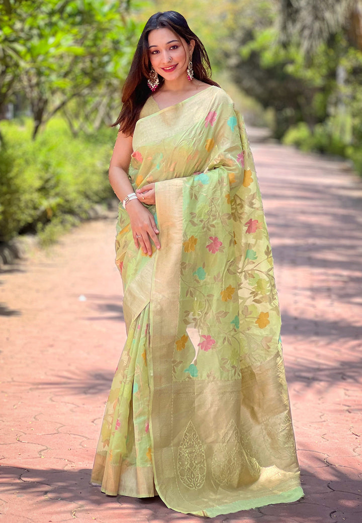 Elegant Organza Saree with Banarasi Silk | Meenakari Jaal Design for Events