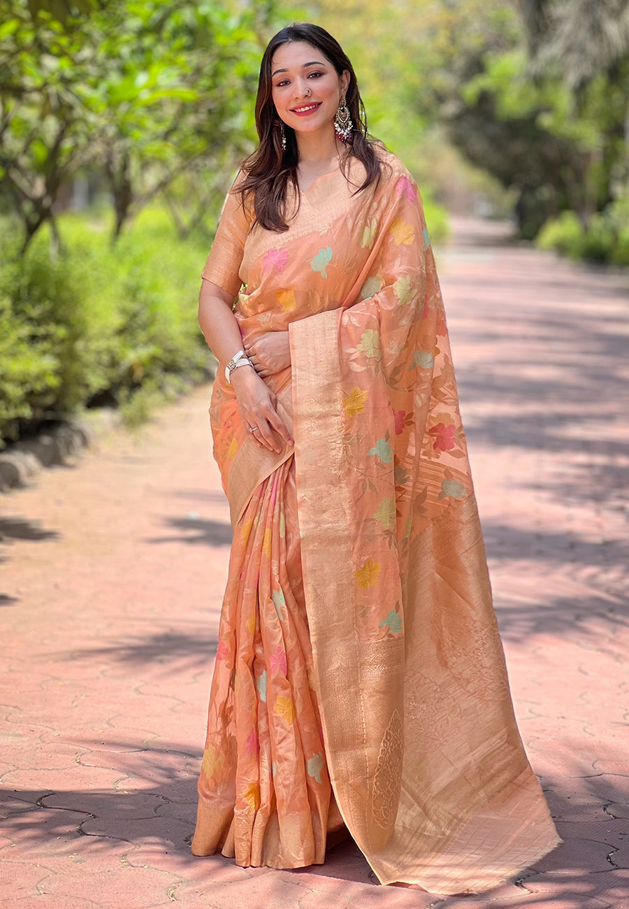 Elegant Organza Saree with Banarasi Silk | Meenakari Jaal Design for Events