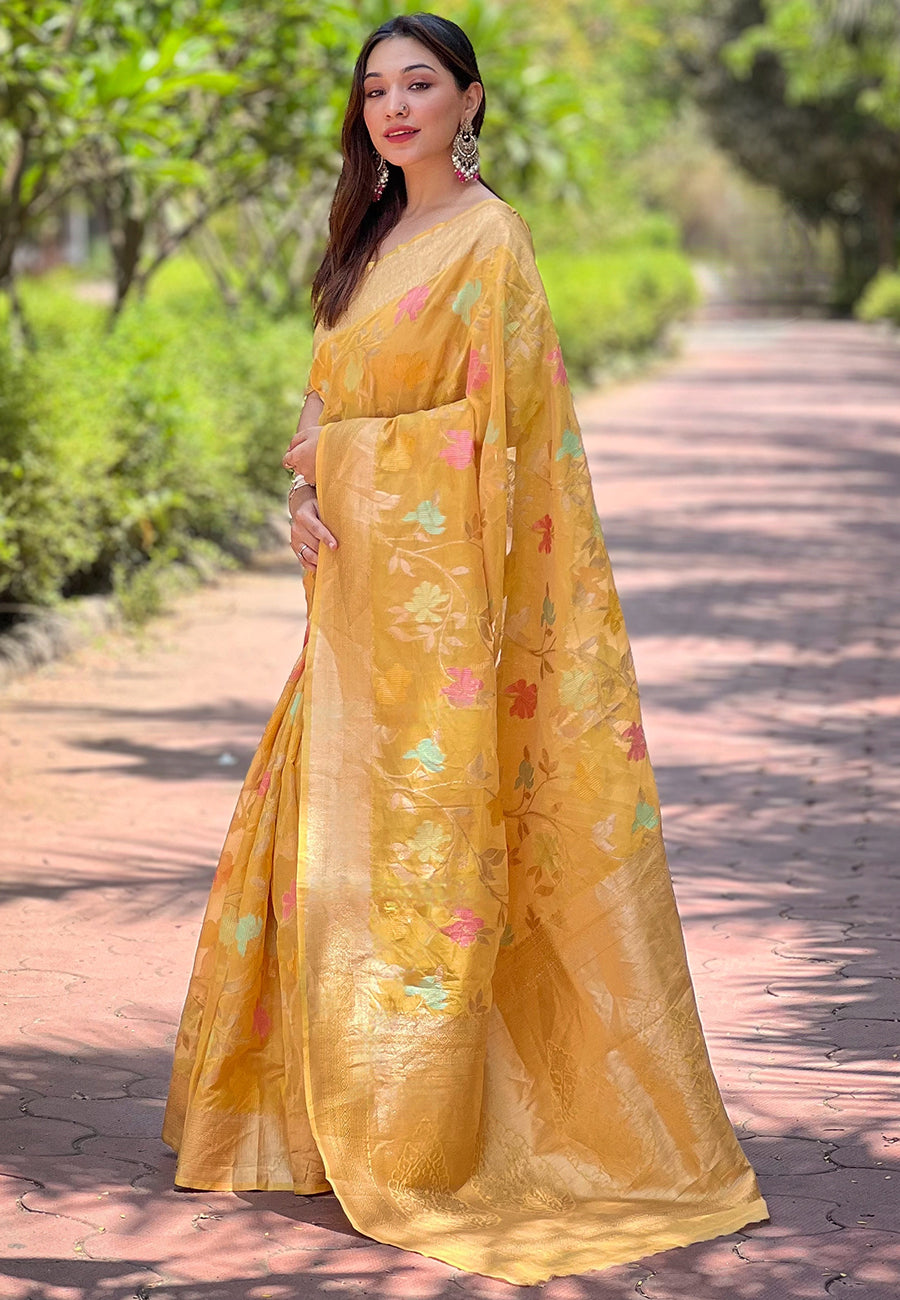 Elegant Organza Saree with Banarasi Silk | Meenakari Jaal Design for Events