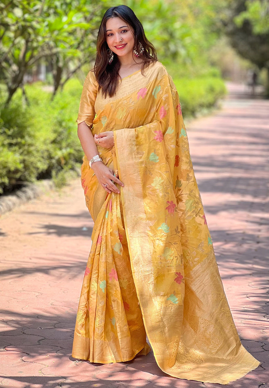 Elegant Organza Saree with Banarasi Silk | Meenakari Jaal Design for Events