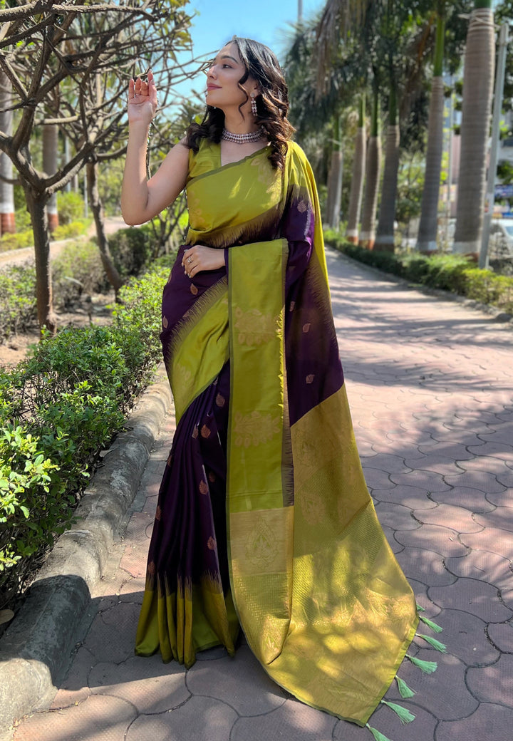 Radiant Soft Silk Saree with | Perfect for Special Celebrations