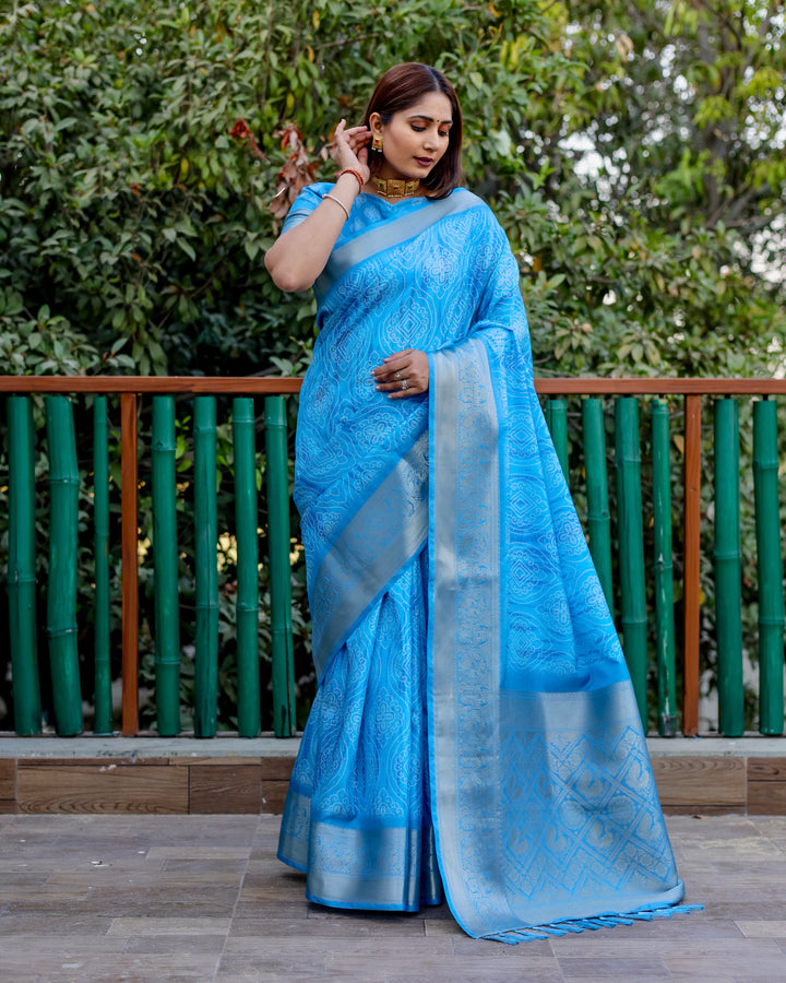 Designer Dola Silk Saree | Beautified with Wevon Pallu Border Designer, Digital Printed Work