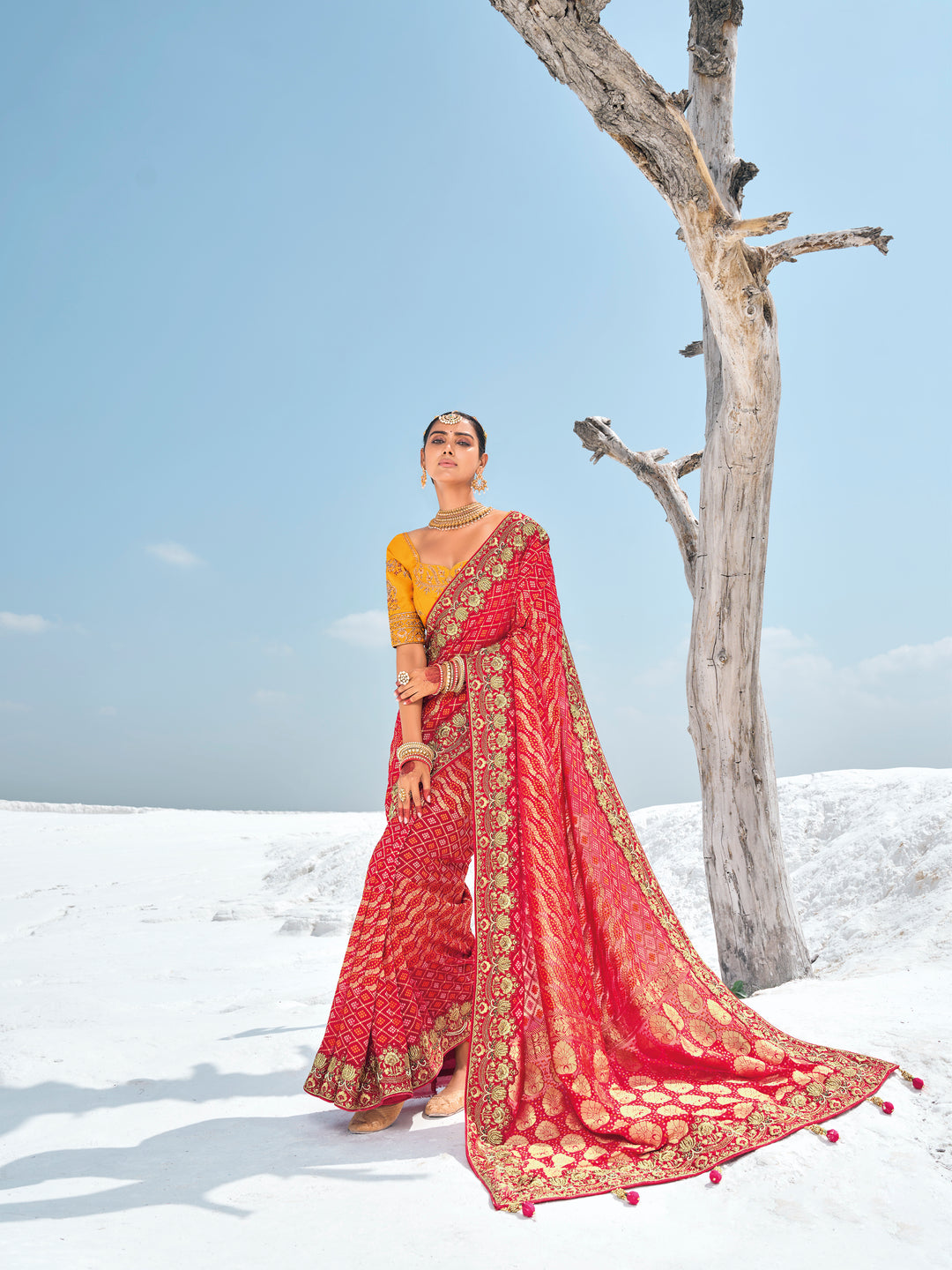 Elegant Bandhani Georgette Saree with Embroidery & Designer Work | Special Event Use