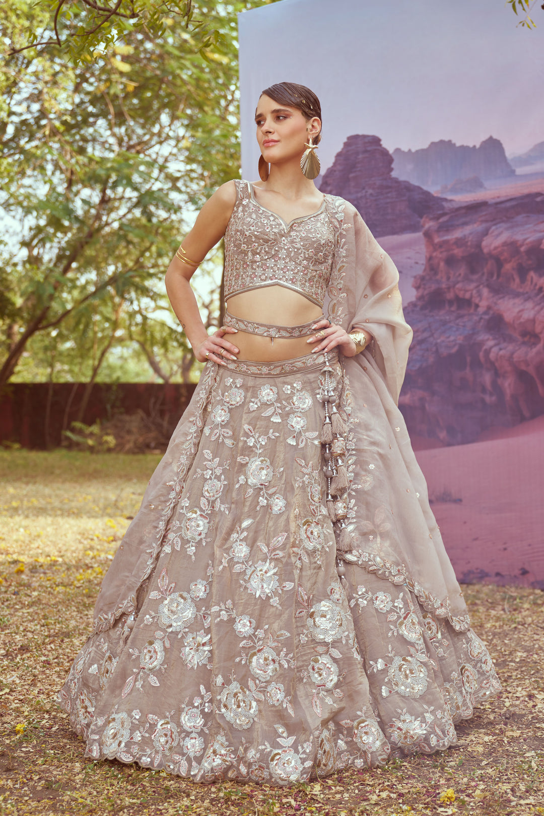 Elegant Organza Lehenga | Fancy Choli with Heavy Embroidery