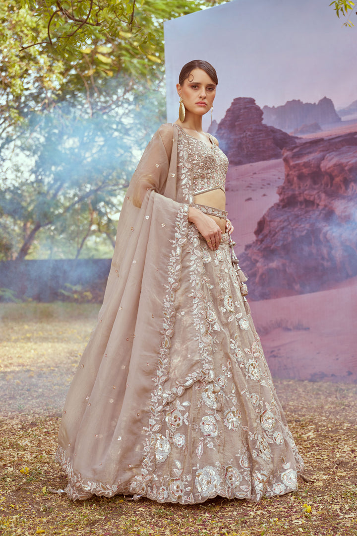 Elegant Organza Lehenga | Fancy Choli with Heavy Embroidery