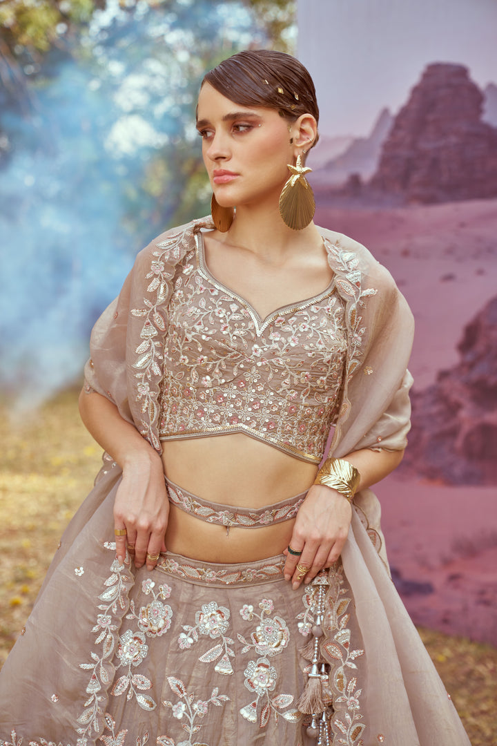 Elegant Organza Lehenga | Fancy Choli with Heavy Embroidery