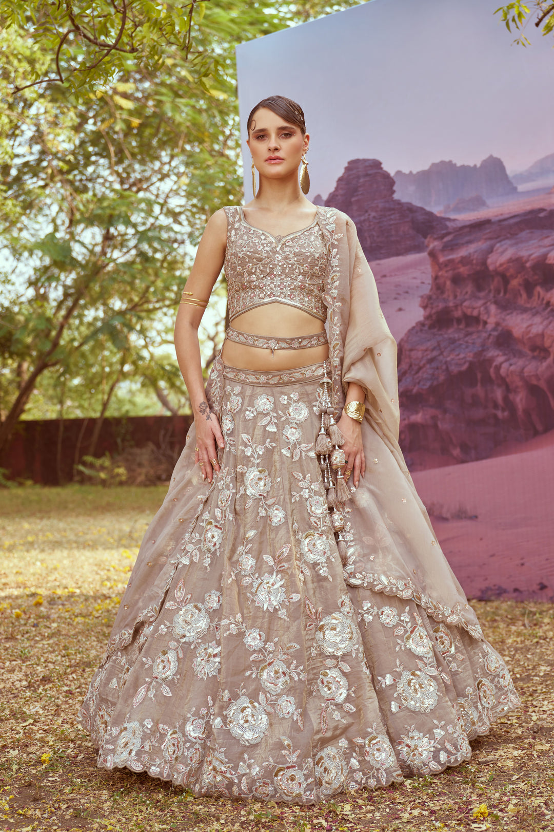 Elegant Organza Lehenga | Fancy Choli with Heavy Embroidery