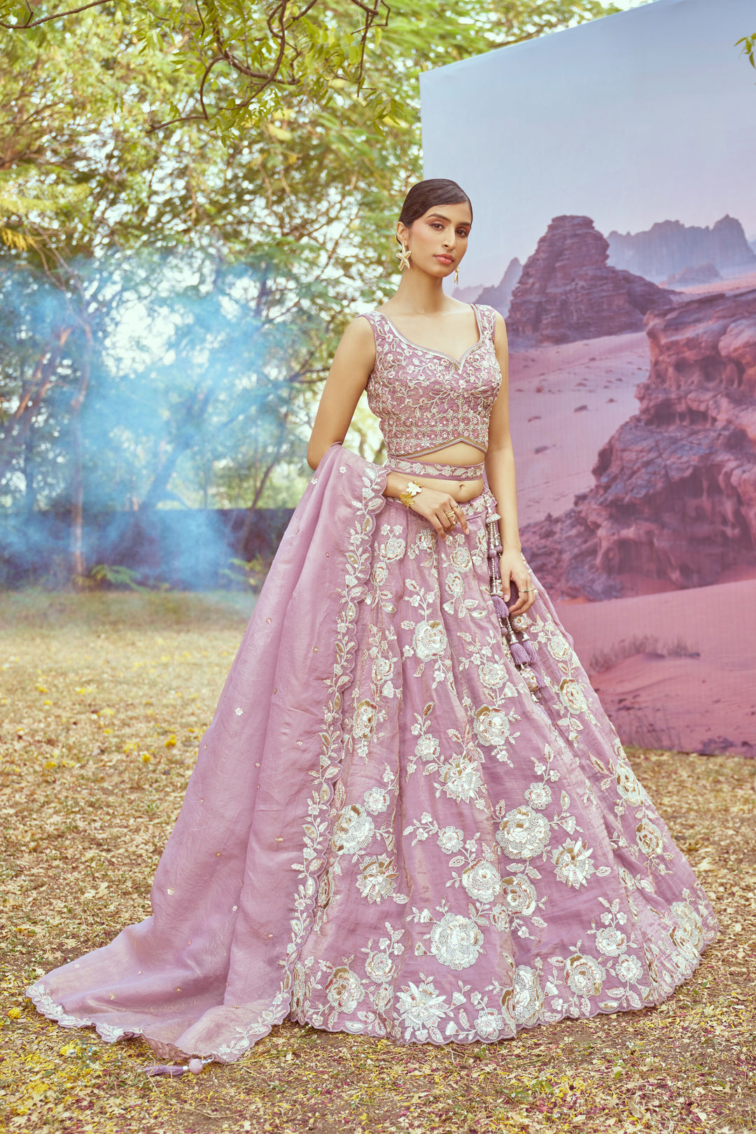 Elegant Organza Lehenga | Fancy Choli with Heavy Embroidery