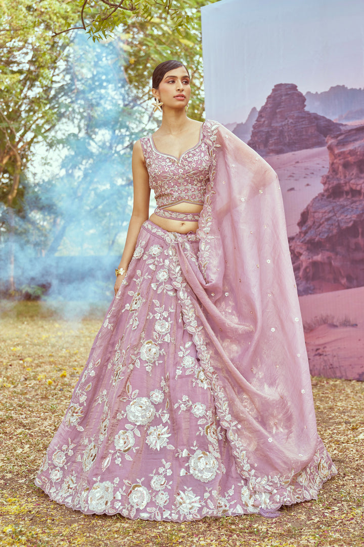 Elegant Organza Lehenga | Fancy Choli with Heavy Embroidery